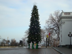 DSC00485.JPG